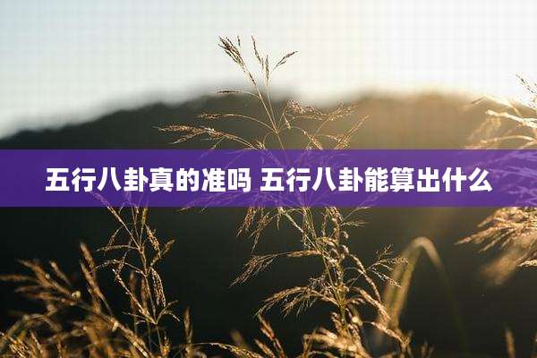五行八卦真的准吗 五行八卦能算出什么