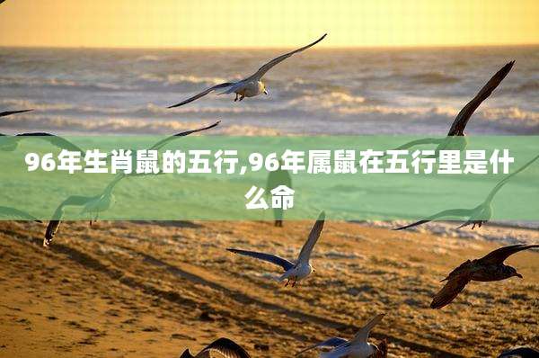 96年生肖鼠的五行,96年属鼠在五行里是什么命