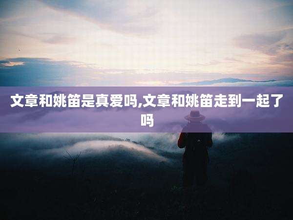 文章和姚笛是真爱吗,文章和姚笛走到一起了吗