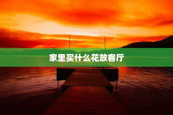 家里买什么花放客厅