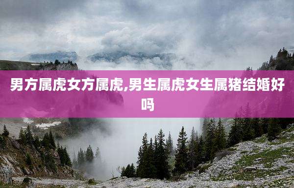 男方属虎女方属虎,男生属虎女生属猪结婚好吗