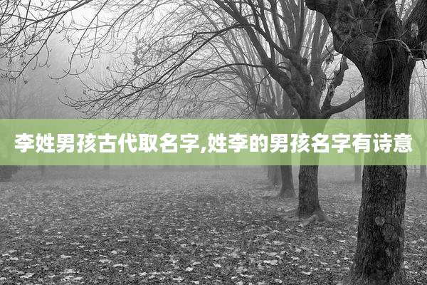 李姓男孩古代取名字,姓李的男孩名字有诗意