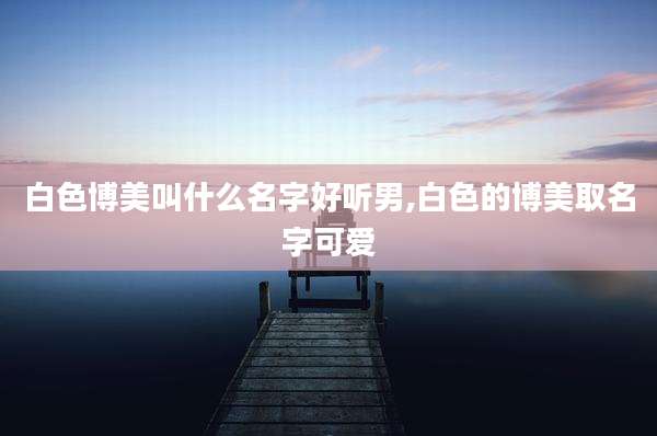 白色博美叫什么名字好听男,白色的博美取名字可爱
