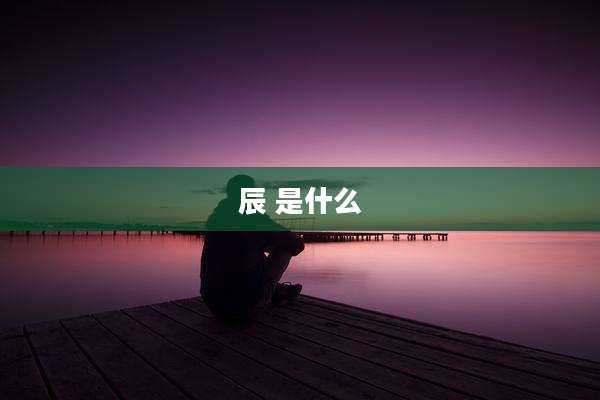 辰 是什么