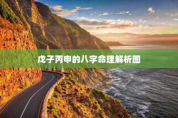 戊子丙申的八字命理解析图