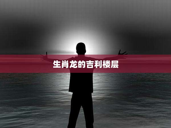 生肖龙的吉利楼层