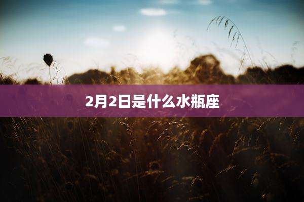 2月2日是什么水瓶座