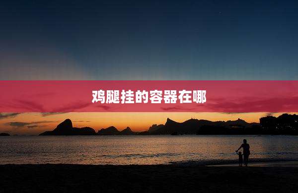 鸡腿挂的容器在哪