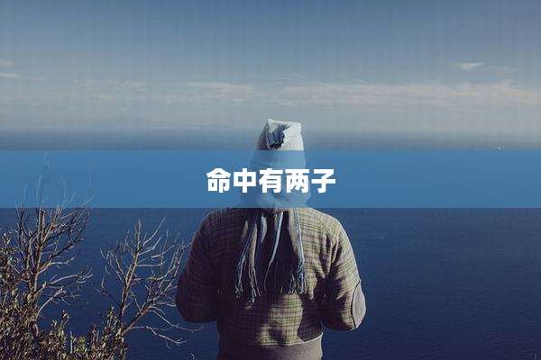 命中有两子