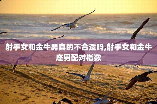 射手女和金牛男真的不合适吗,射手女和金牛座男配对指数