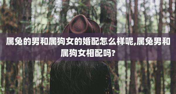 属兔的男和属狗女的婚配怎么样呢,属兔男和属狗女相配吗?