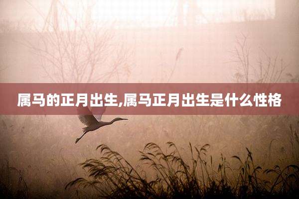 属马的正月出生,属马正月出生是什么性格