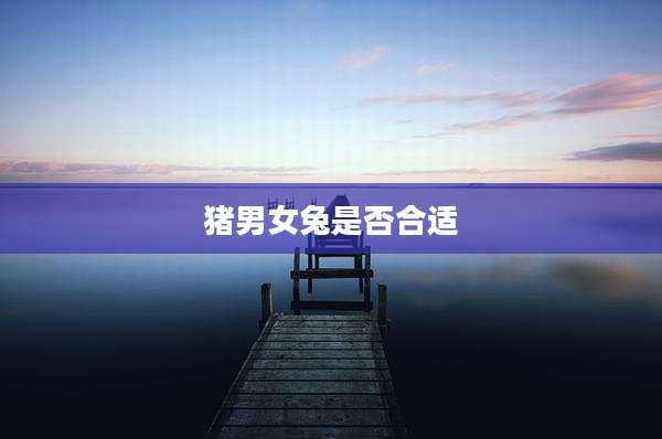 猪男女兔是否合适