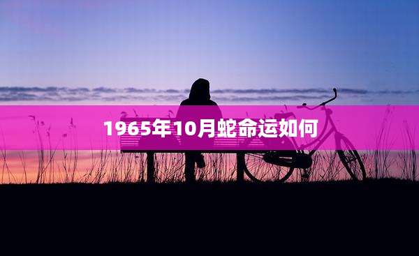 1965年10月蛇命运如何