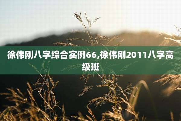 徐伟刚八字综合实例66,徐伟刚2011八字高级班