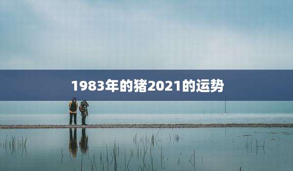 1983年的猪2021的运势