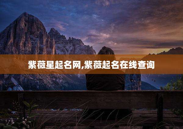 紫薇星起名网,紫薇起名在线查询