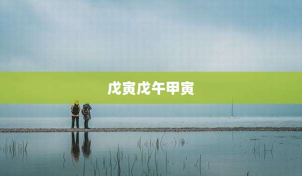 戊寅戊午甲寅