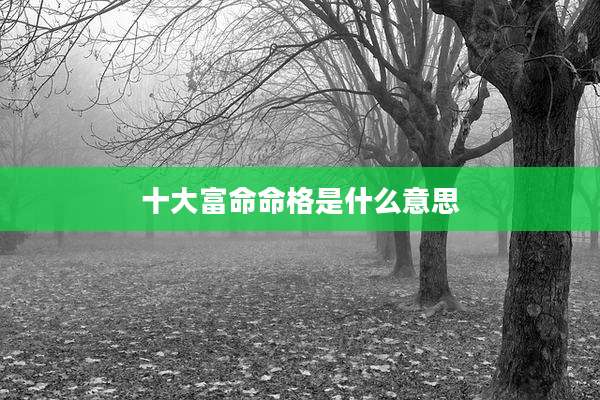 十大富命命格是什么意思