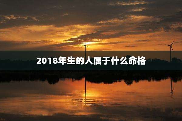 2018年生的人属于什么命格