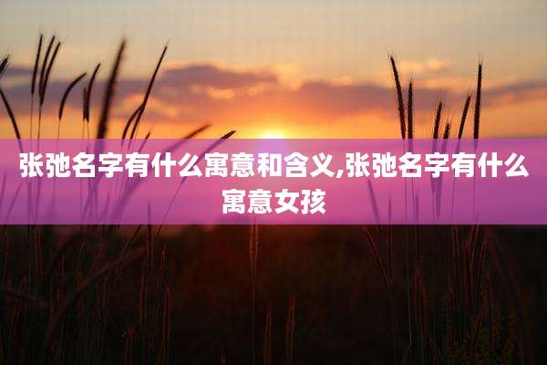 张弛名字有什么寓意和含义,张弛名字有什么寓意女孩