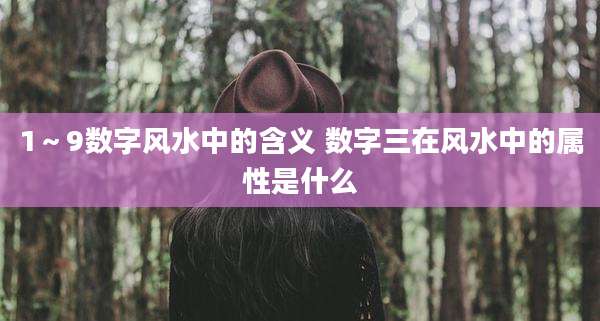 1～9数字风水中的含义 数字三在风水中的属性是什么