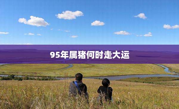 95年属猪何时走大运