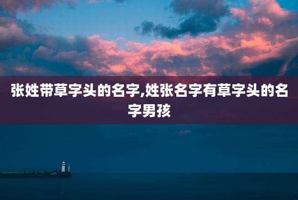 张姓带草字头的名字,姓张名字有草字头的名字男孩