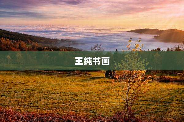 王纯书画