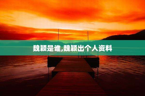 魏颖是谁,魏颖出个人资料