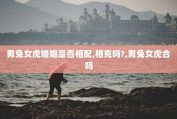 男兔女虎婚姻是否相配,相克吗?,男兔女虎合吗