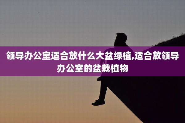领导办公室适合放什么大盆绿植,适合放领导办公室的盆栽植物