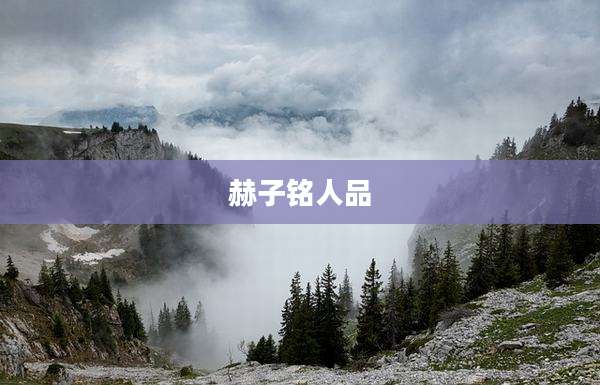 赫子铭人品