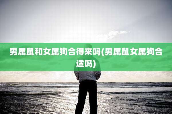 男属鼠和女属狗合得来吗(男属鼠女属狗合适吗)