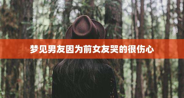 梦见男友因为前女友哭的很伤心