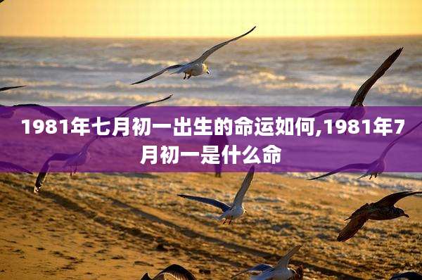 1981年七月初一出生的命运如何,1981年7月初一是什么命