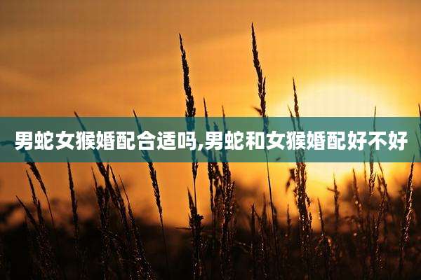 男蛇女猴婚配合适吗,男蛇和女猴婚配好不好