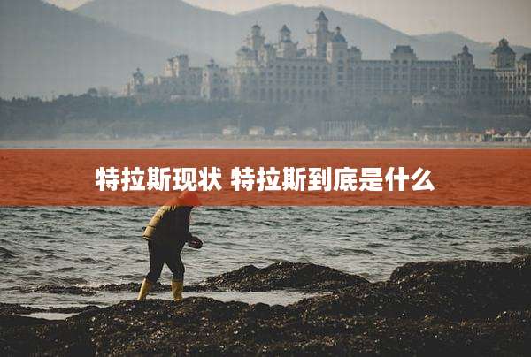 特拉斯现状 特拉斯到底是什么