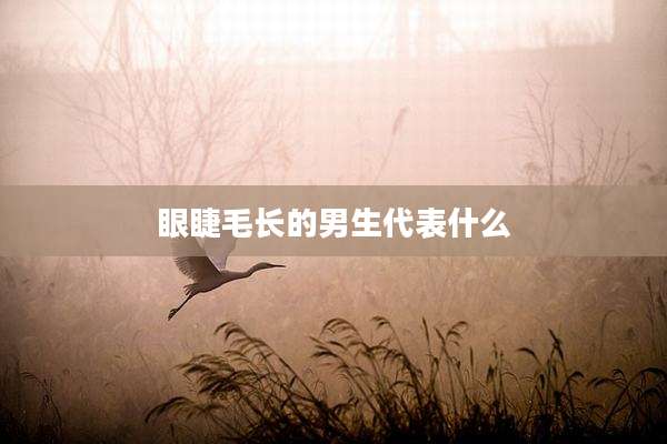 眼睫毛长的男生代表什么