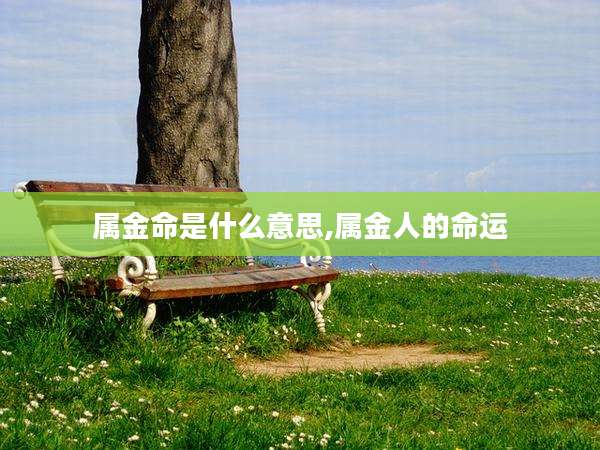 属金命是什么意思,属金人的命运