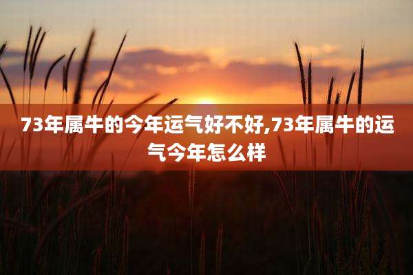 73年属牛的今年运气好不好,73年属牛的运气今年怎么样