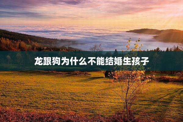 龙跟狗为什么不能结婚生孩子