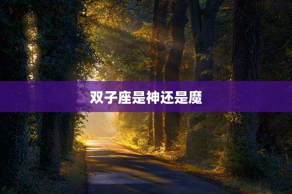 双子座是神还是魔