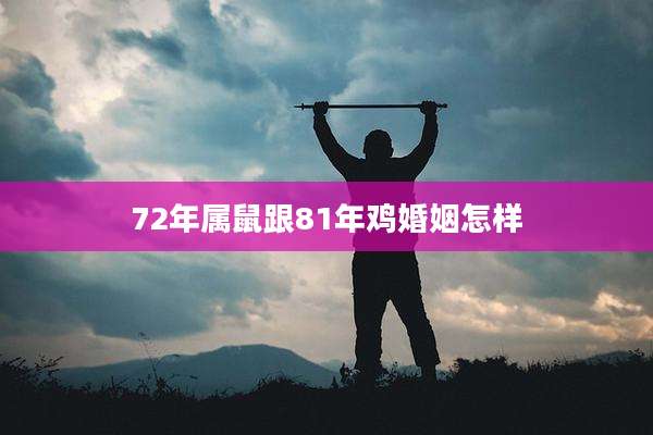 72年属鼠跟81年鸡婚姻怎样