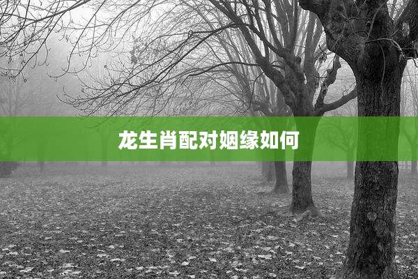 龙生肖配对姻缘如何