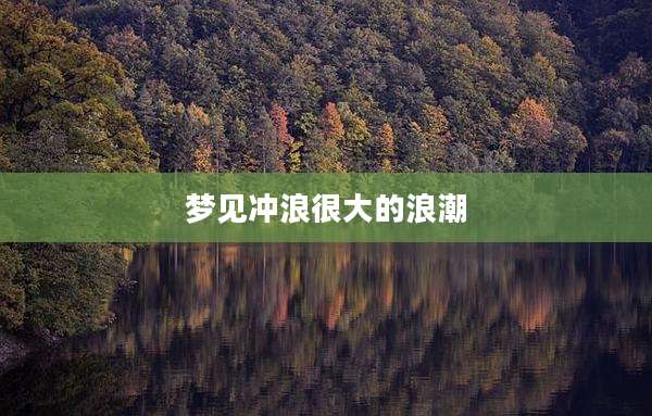 梦见冲浪很大的浪潮