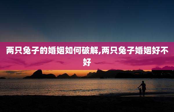 两只兔子的婚姻如何破解,两只兔子婚姻好不好