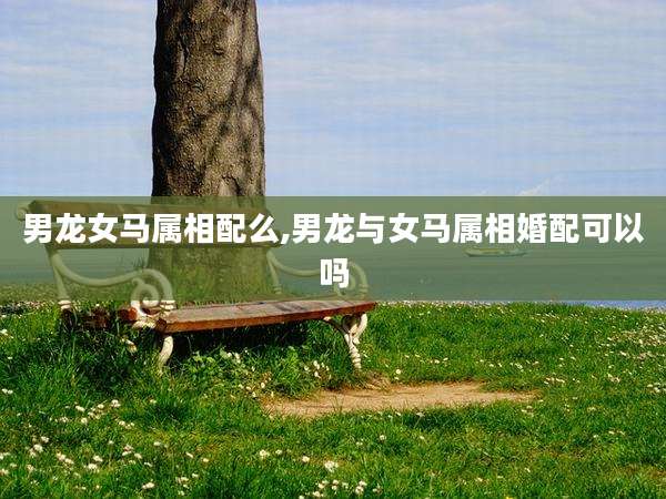 男龙女马属相配么,男龙与女马属相婚配可以吗