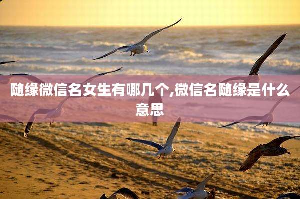 随缘微信名女生有哪几个,微信名随缘是什么意思