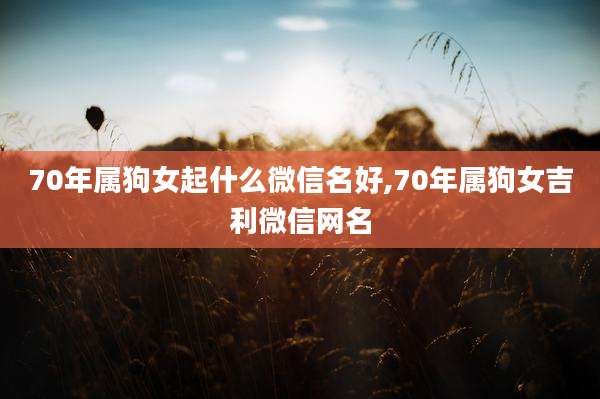 70年属狗女起什么微信名好,70年属狗女吉利微信网名
